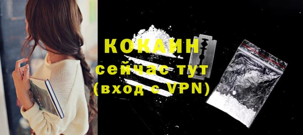 твердый Бородино