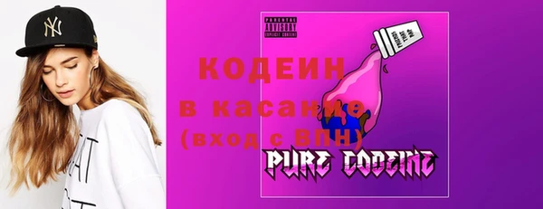 твердый Бородино