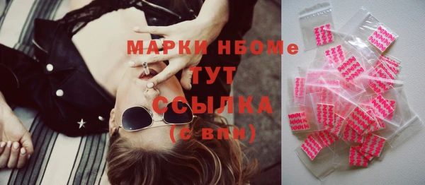 твердый Бородино