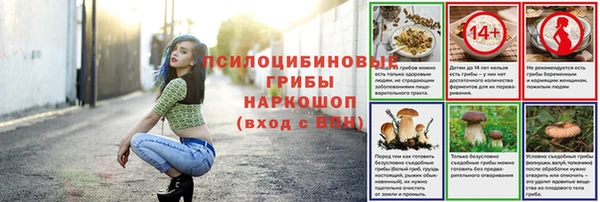 твердый Бородино