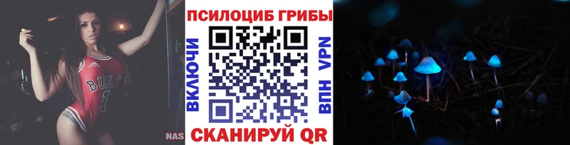 OMG маркетплейс  Козловка  Галлюциногенные грибы Psilocybine cubensis 