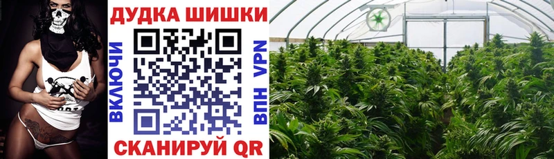 Бошки Шишки Bruce Banner ОМГ ОМГ рабочий сайт Козловка где купить наркоту